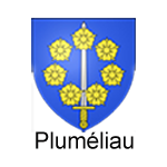 Partenaire commune de Pluméliau